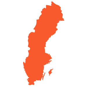 Bildammsugare med gratis och fri frakt inom hela Sverige
