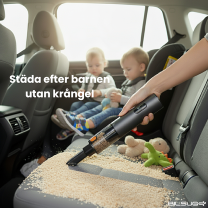 Bildammsugare & Blåsare