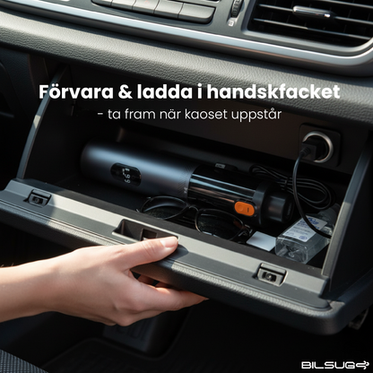 Bildammsugare & Blåsare