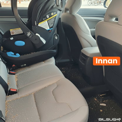 Bildammsugare & Blåsare