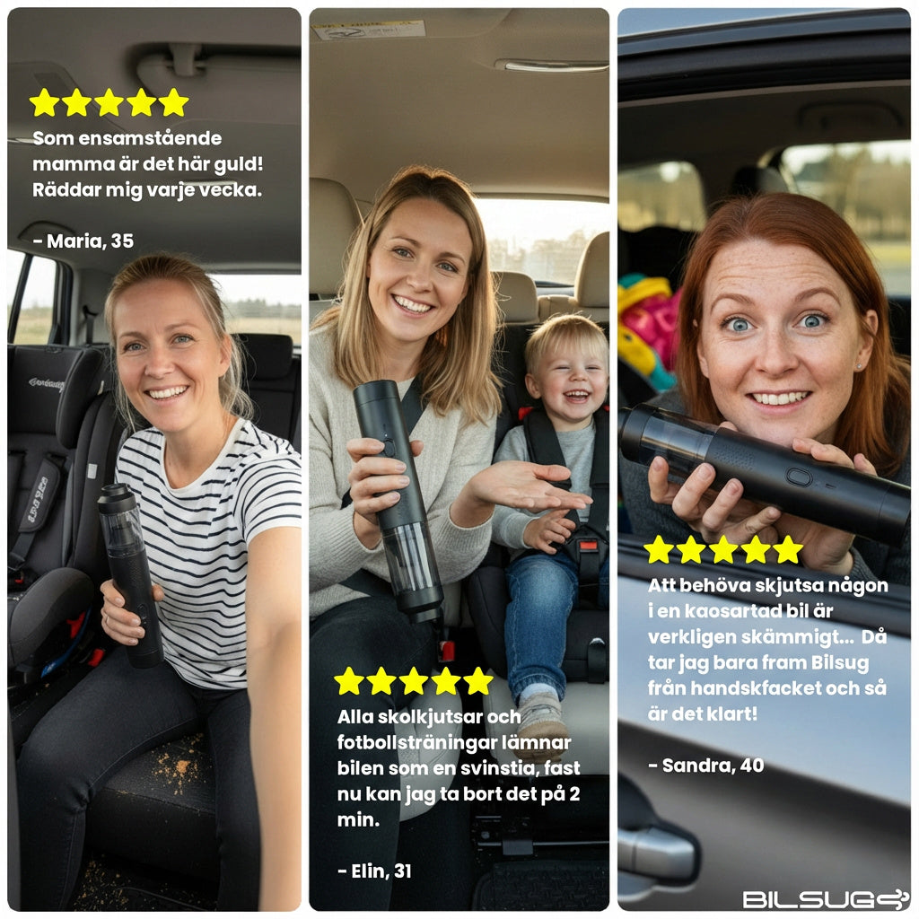 Bildammsugare & Blåsare