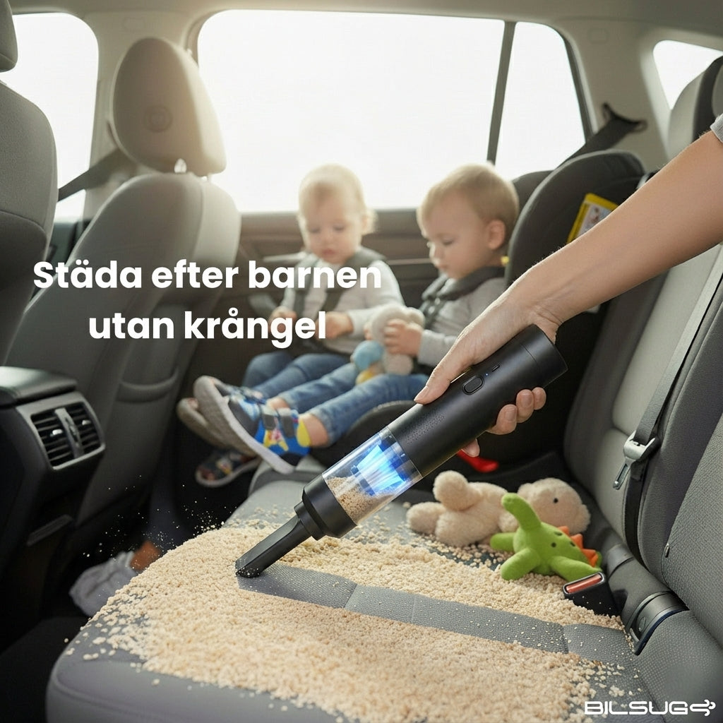 Bildammsugare & Blåsare