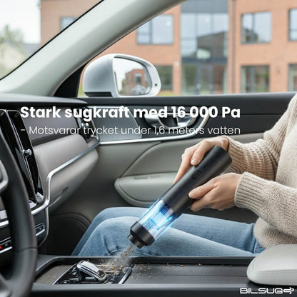 Bildammsugare & Blåsare