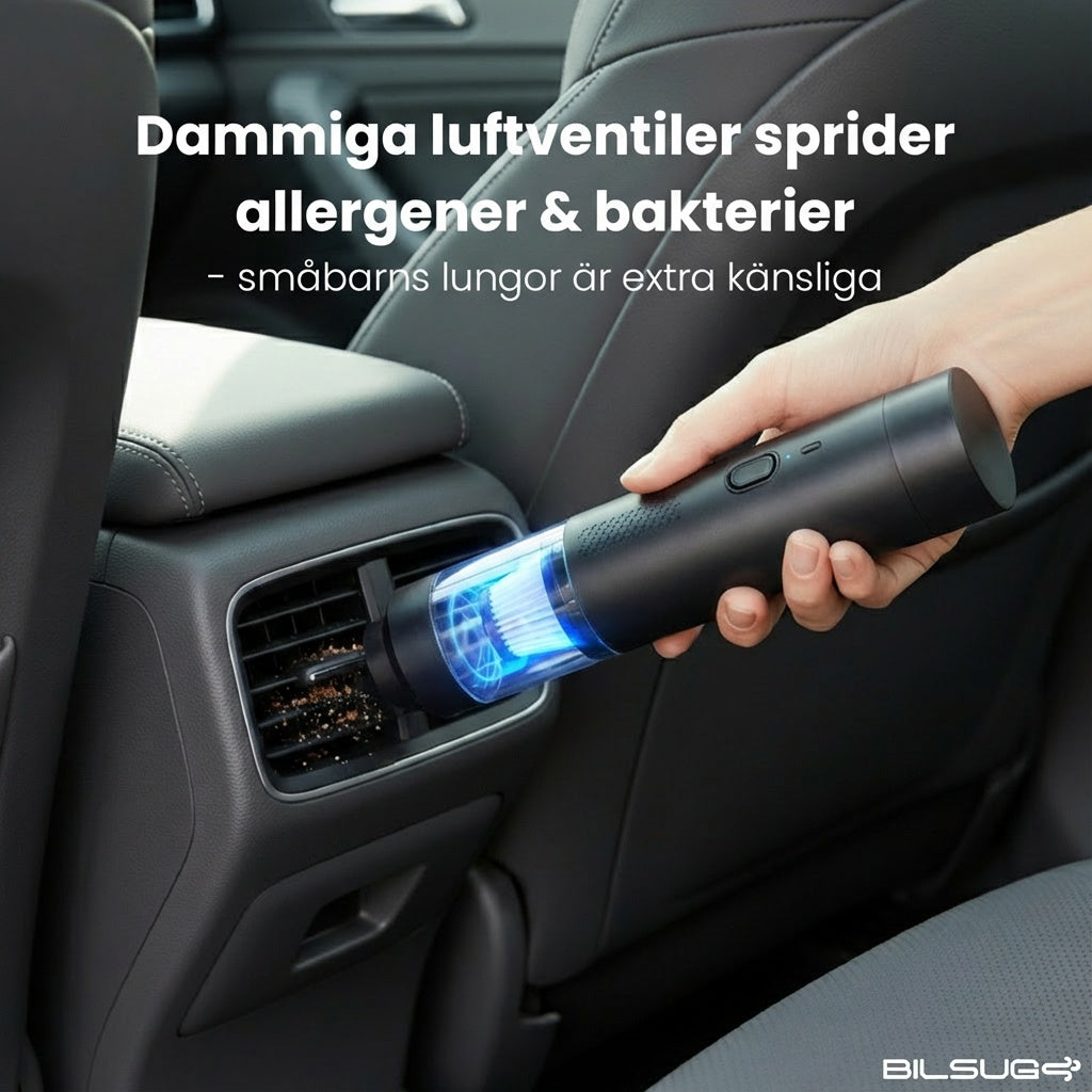 Bildammsugare & Blåsare