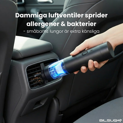 Bildammsugare & Blåsare