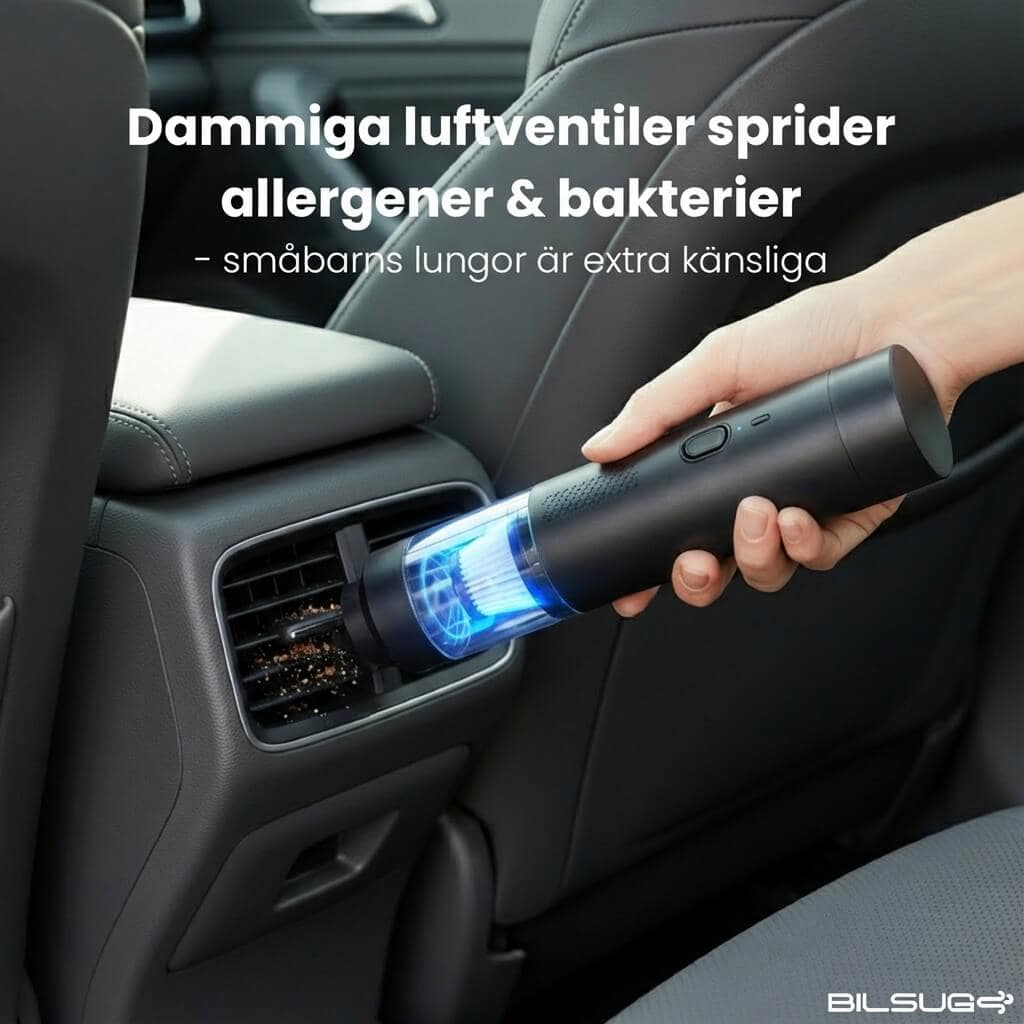 Bildammsugare & Blåsare